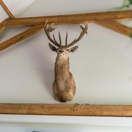Hoeve De Zuidhoek Bruges Extérieur photo