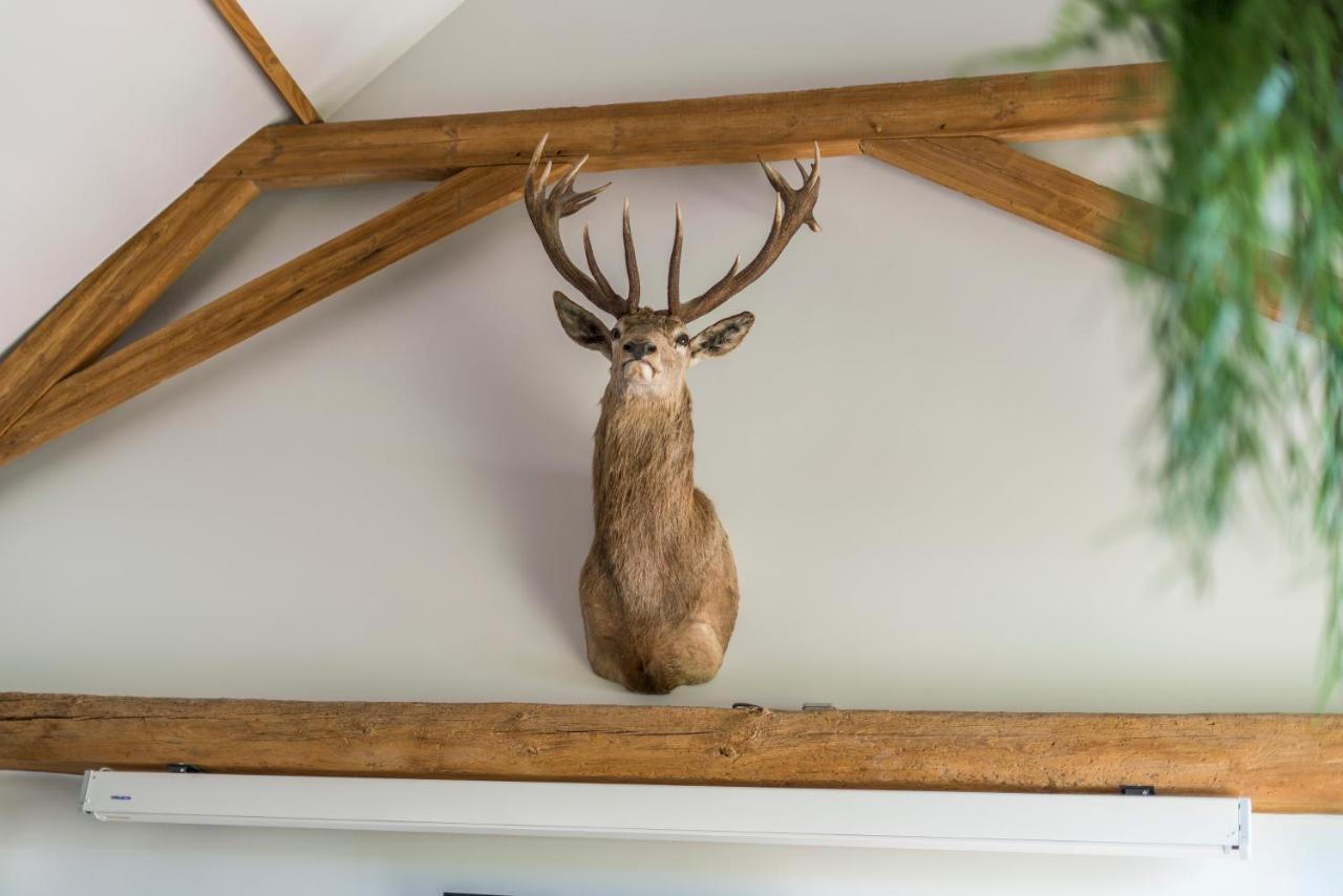 Hoeve De Zuidhoek Bruges Extérieur photo