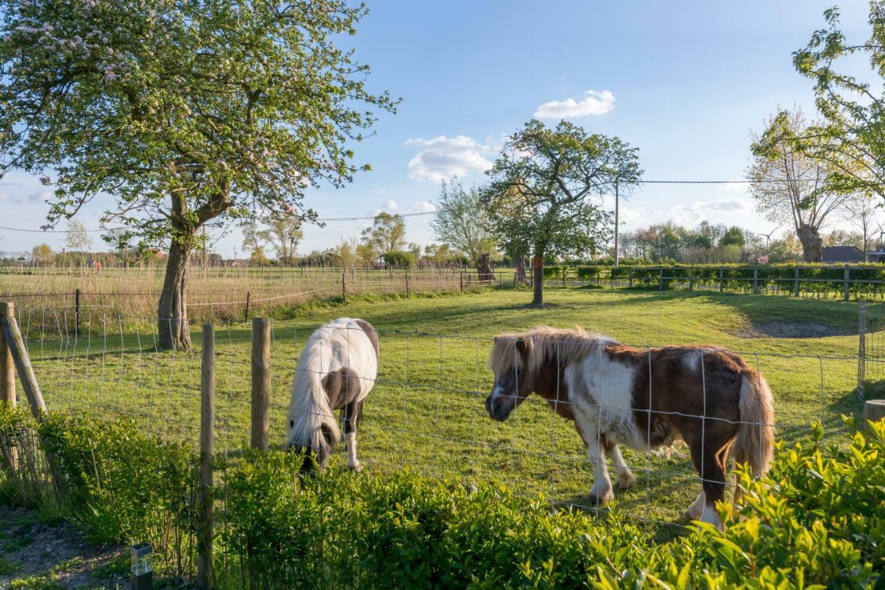 Hoeve De Zuidhoek Bruges Extérieur photo